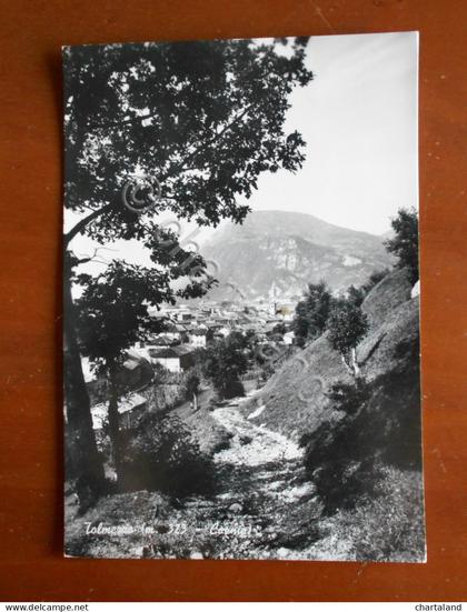 Cartolina Tolmezzo (Friuli Venezia Giulia) (m. 323) - Carnia - 1953