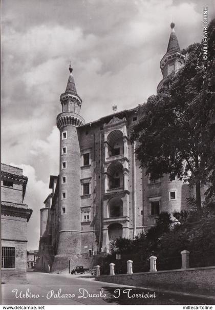 # URBINO: PALAZZO DUCALE  - I TORRICINI   1958