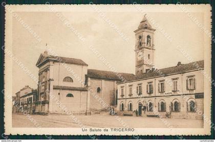 Vercelli Tricerro cartolina KV4074