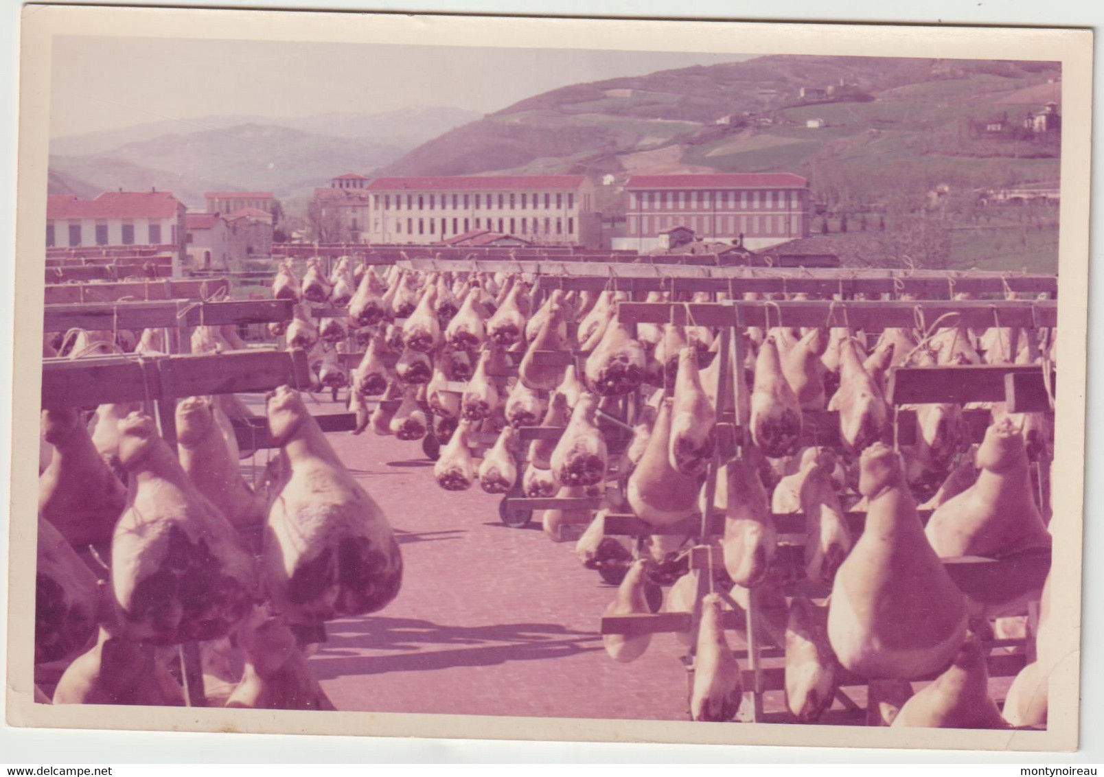 Italie :  Parma-Parme :  camera di commercio industria artigianato , agriculture, jambon