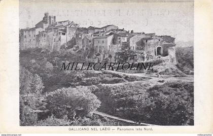 GALLICANO NEL LAZIO:  Panorama lato nord  (2)   1914