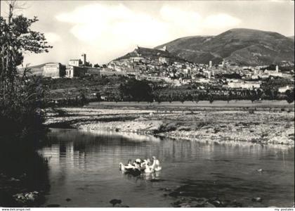Assisi Umbria Schwan