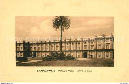Capodimonte Palazzo Reale Altra veduta
