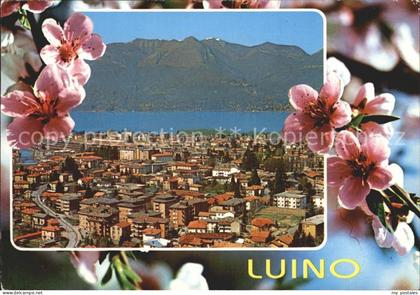 Luino Lago Maggiore