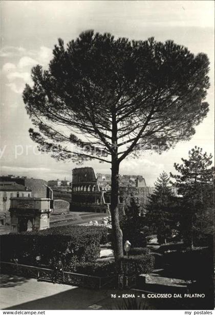 Rom Roma Colosseum Palatinum