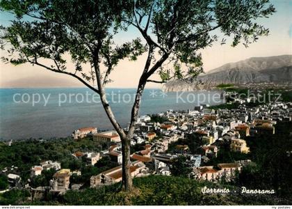 Sorrento Campania Panorama