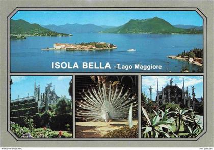 Stresa Borromeo Lago Maggiore IT Panorama Isola Bella Lago Maggiore Pfau
