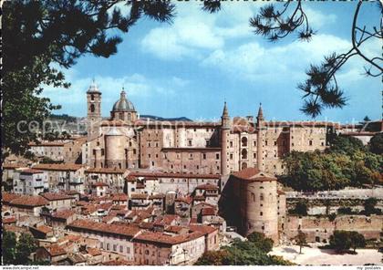 Urbino