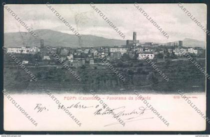 Arezzo Poppi cartolina MV7185