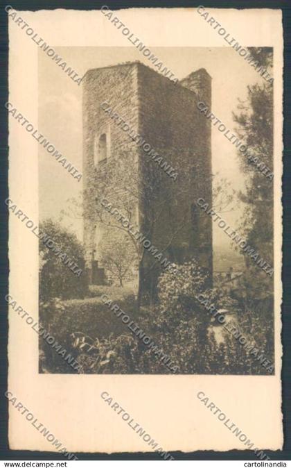 Arezzo Poppi cartolina ZG0939