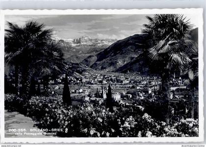 51499246 - Bolzano Bozen