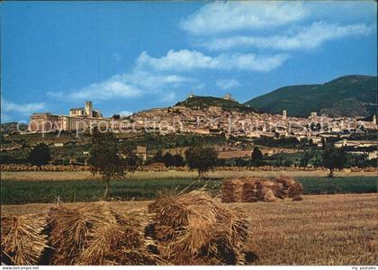 Assisi Umbria Panorama