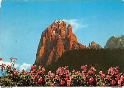 BG17734 val gardena dolomiti il sassolungo groden tal   italy