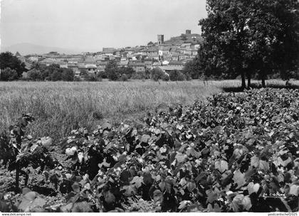 BR53579 Cogolin et ses vignobles      France