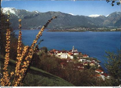 Gambarogno TI Lago Maggiore Alpenblick