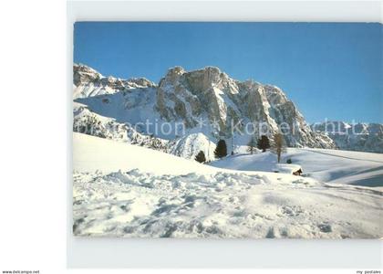 Groeden Tirol Lo Stevia Steviagruppe