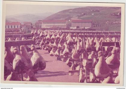 Italie :  Parma-Parme :  camera di commercio industria artigianato , agriculture, jambon