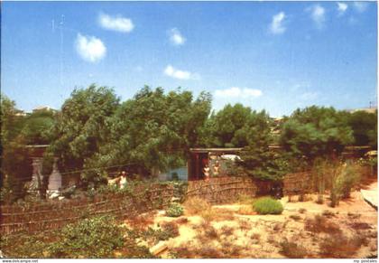 Marina Modica Marina Modica