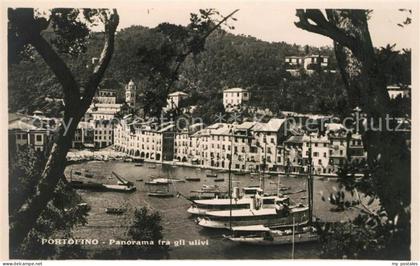 Portofino Liguria Panorama