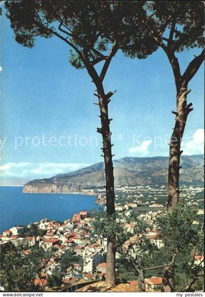 Sorrento Campania Pinien