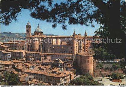 Urbino