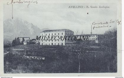 AVELLINO:  R. Scuola Enologica    1920