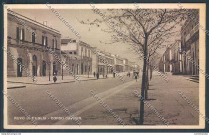 Bari Ruvo di Puglia cartolina ZB6018