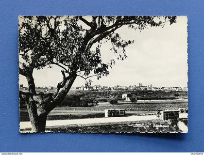 Cartolina Altamura - Panorama - 1956