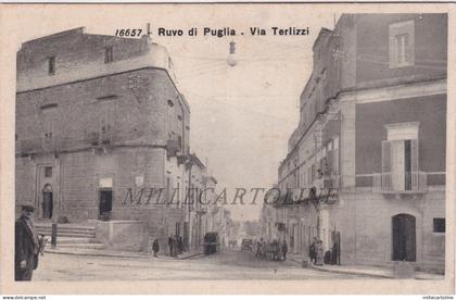 RUVO DI PUGLIA: Via Terlizzi  n. 16657