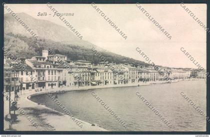 Brescia Salò cartolina LQ5548