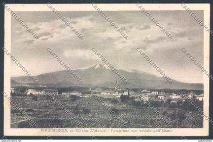 Catania Mascalucia cartolina ZB9154
