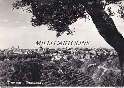CATANZARO:  Panorama    1959