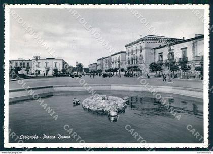 Foggia Cerignola Piazza Duomo Foto FG cartolina WX7200
