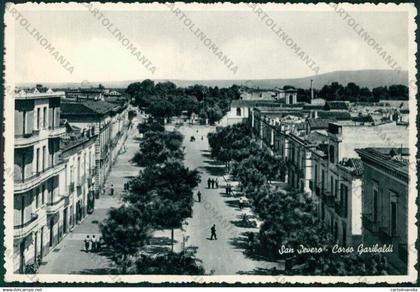 Foggia San Severo Foto FG cartolina ZK1950