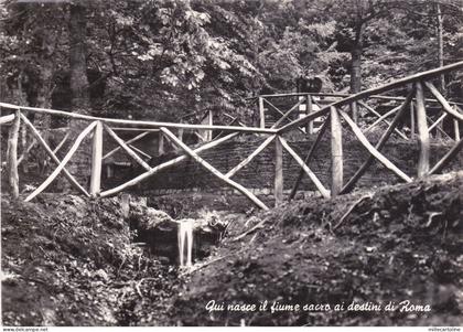 MONTE FUMAIOLO - Qui Nasce Fiume Sacro ai Destini di Roma, Tevere Cartolina 1962
