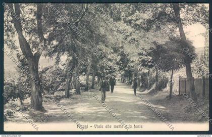 Frosinone Fiuggi cartolina MV1315