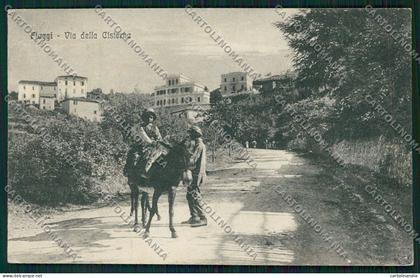 Frosinone Fiuggi cartolina QK4209