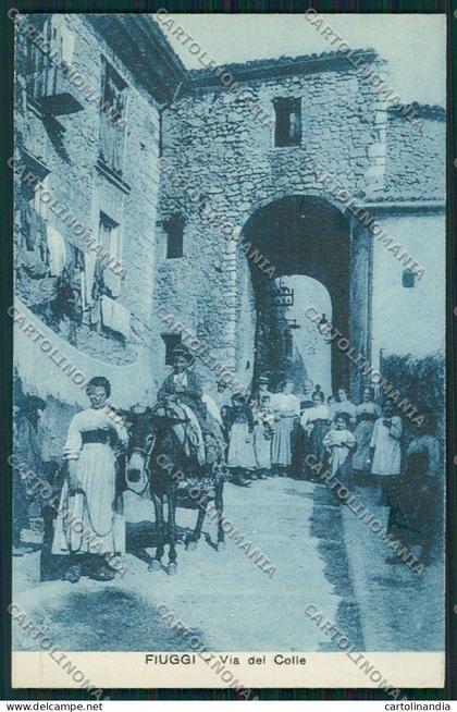 Frosinone Fiuggi cartolina QK4221