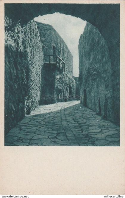 * GORIZIA - Entrata al Castello