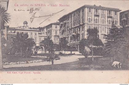 LA SPEZIA - Viale Mazzini