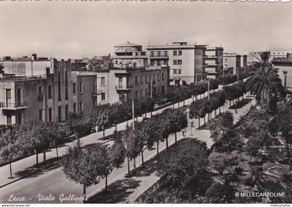 # LECCE: VIALE GALLIPOLI   1954