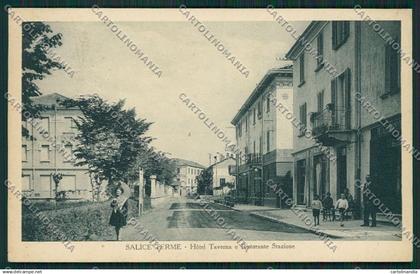 Pavia Salice cartolina EE5684