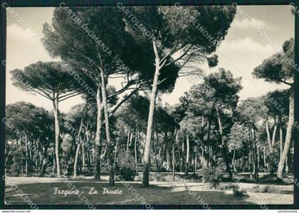 Roma Fiumicino Fregene PIEGHE Foto FG cartolina KF1632