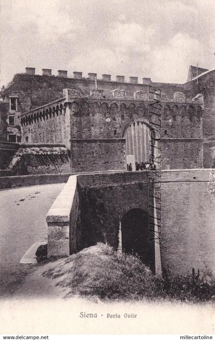 SIENA: Porta Ovile