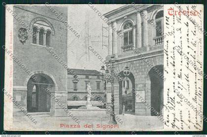Treviso Città cartolina ZC1371