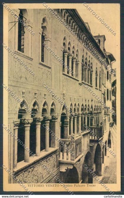 Treviso Vittorio Veneto cartolina ZB8277