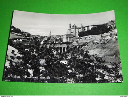 Cartolina Urbino - Panorama parziale 1952