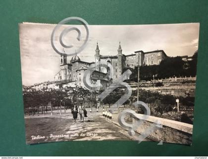 Cartolina Urbino - Panorama Visto da Borgo  - 1956