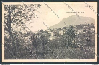 Varese Gemonio cartolina LQ7616