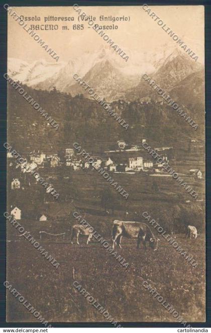Verbania Baceno cartolina ZQ7094